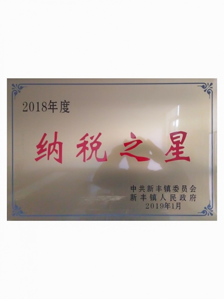 2018年度納稅之星